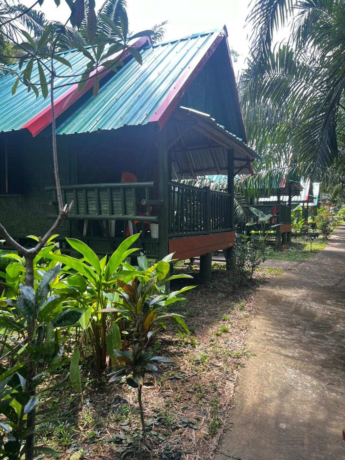 Khaosok Bamboo Huts Resort Khao Sok National Park 외부 사진