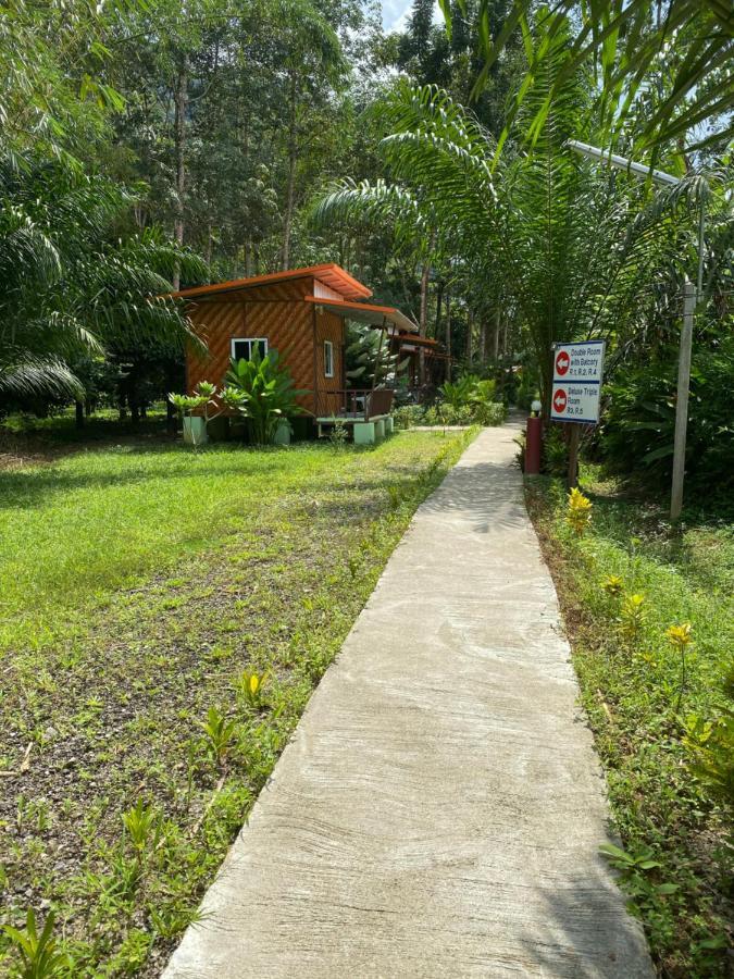 Khaosok Bamboo Huts Resort Khao Sok National Park 외부 사진